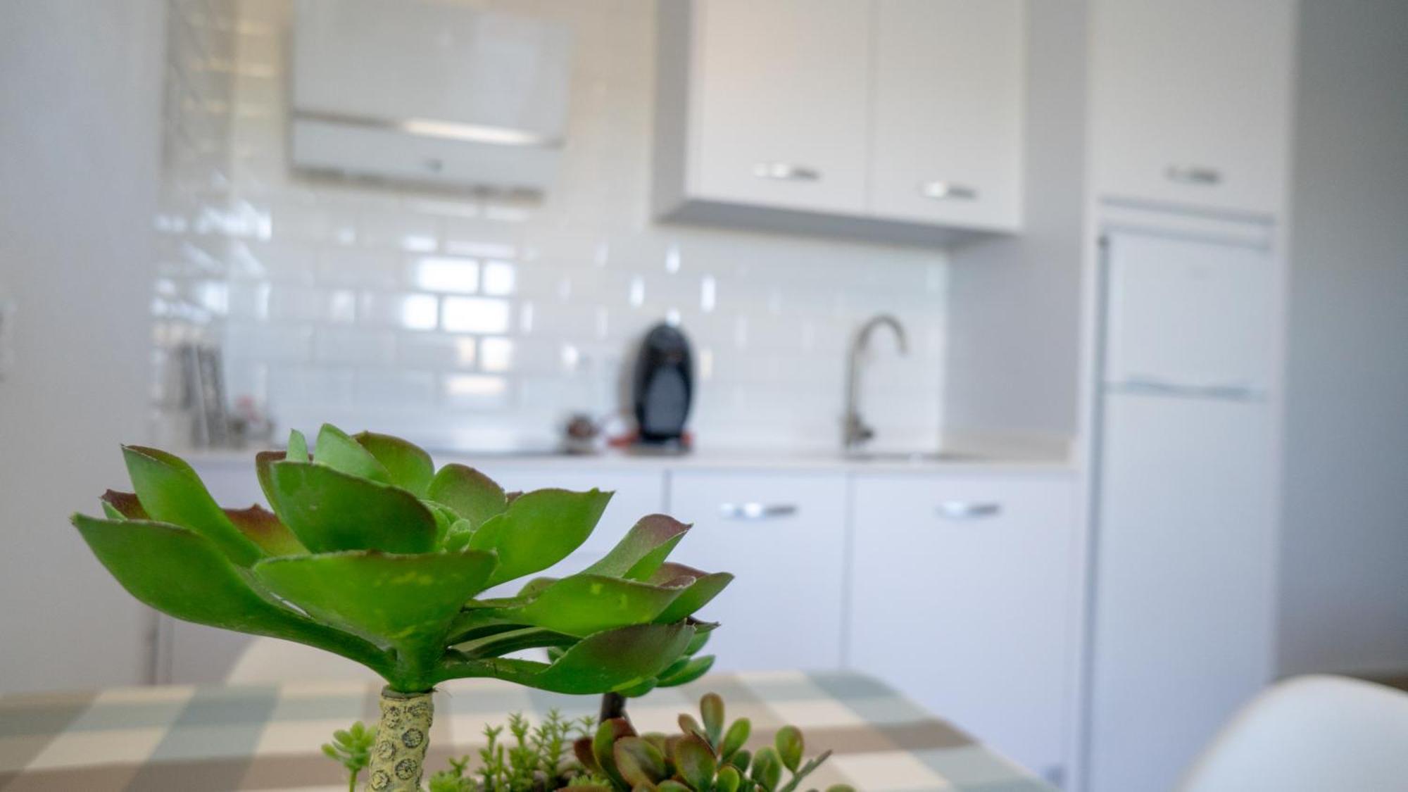 Rural Maria Apartment *
